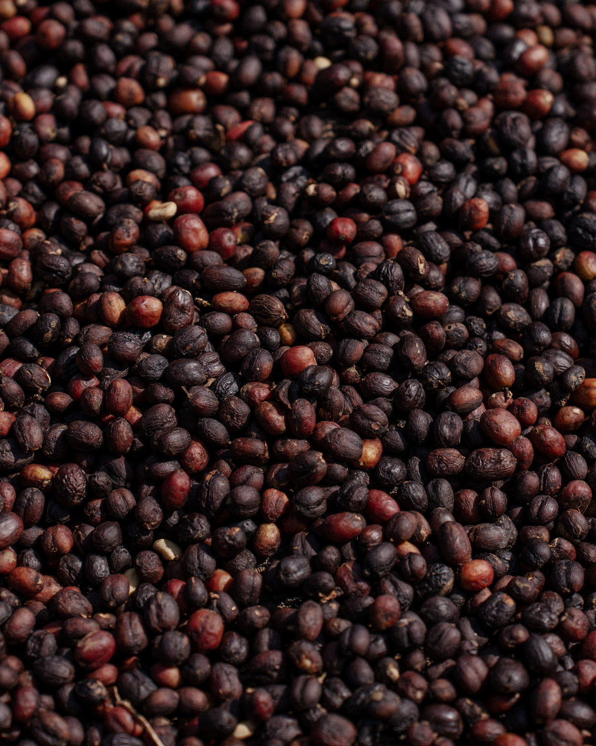 Ethiopia Abore