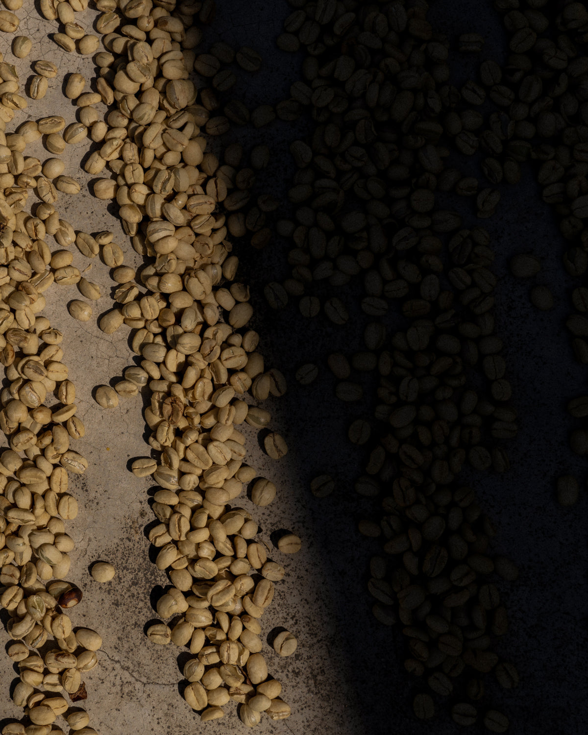 Guatemala El Pacayal