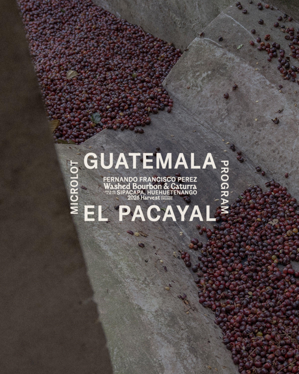 Guatemala El Pacayal