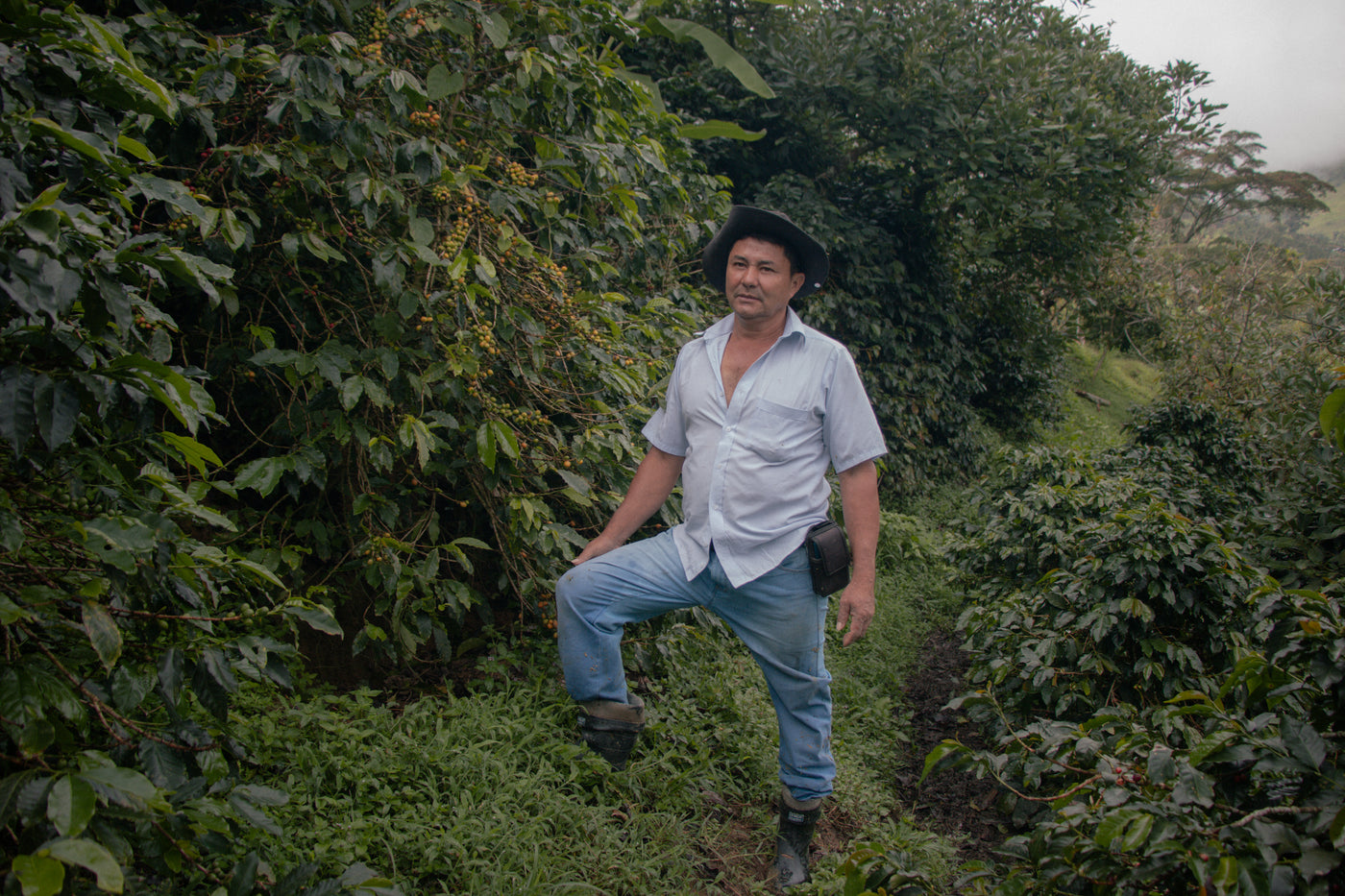 Colombia Henry Ramirez (Preorder)
