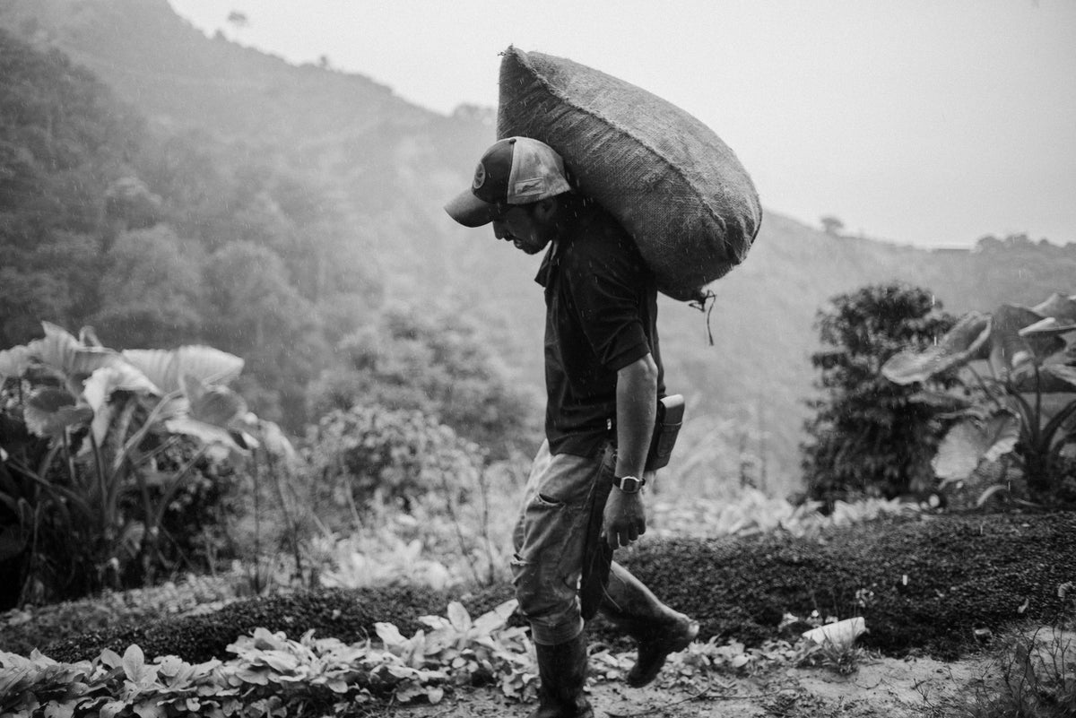 Colombia Yuver Andres (Preorder)