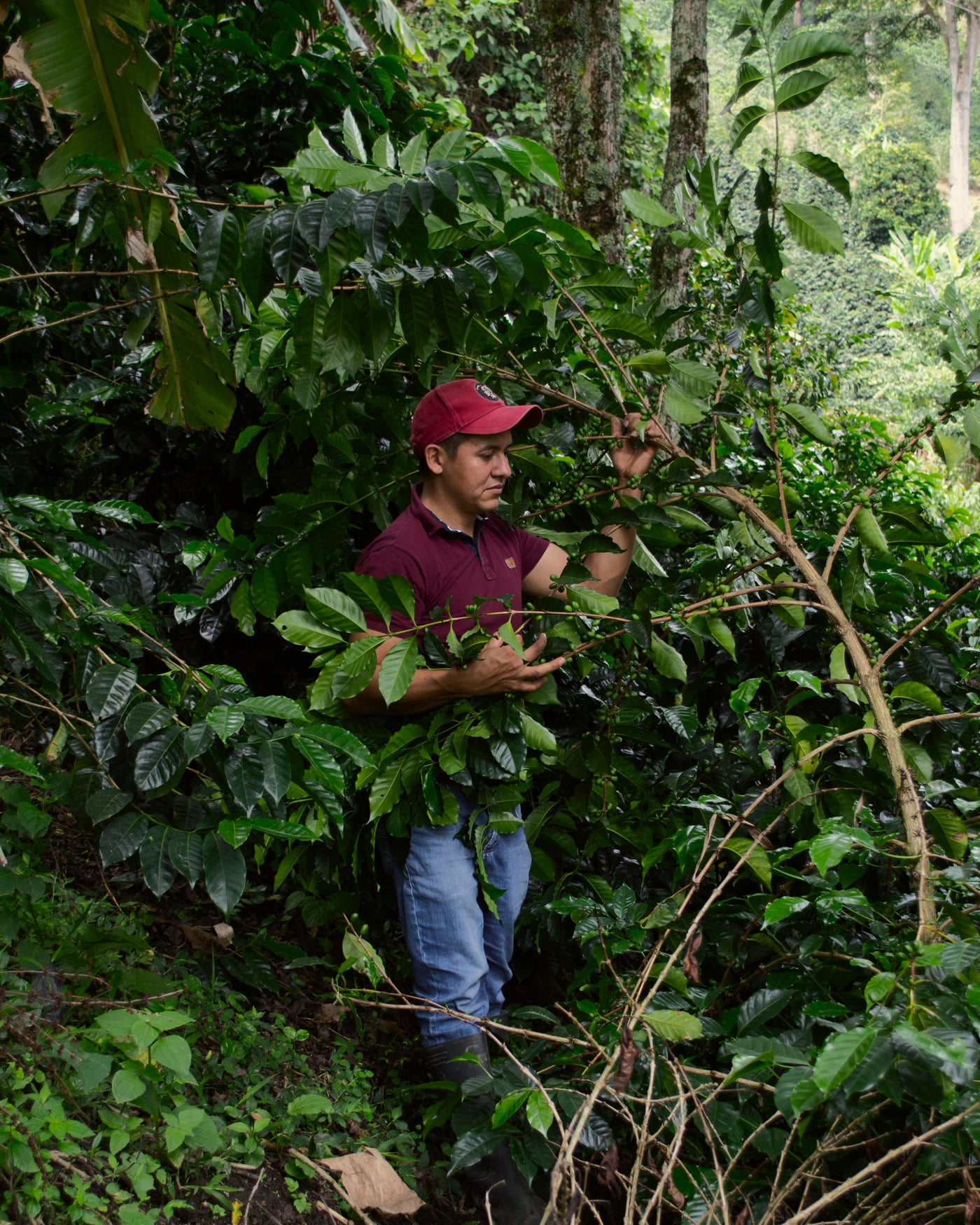 Colombia Jorge Rojas